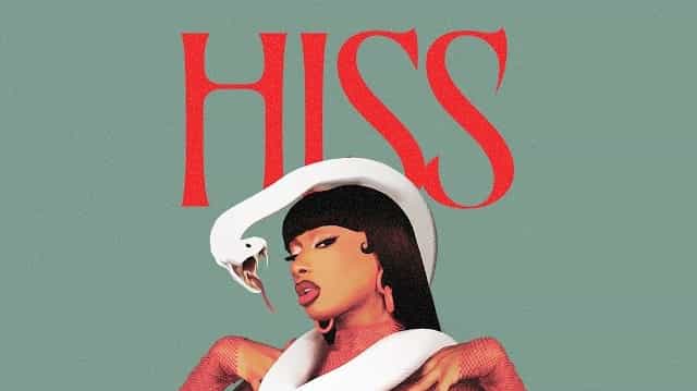 hiss-lyrics-meaning-megan-thee-stallion-songmeaning-in